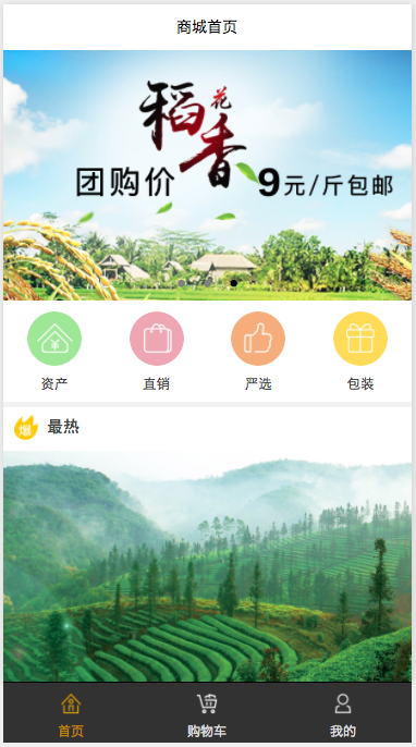 巴爷商城小程序：wechat_mall_applet 导入与后端接口配置指南 的封面